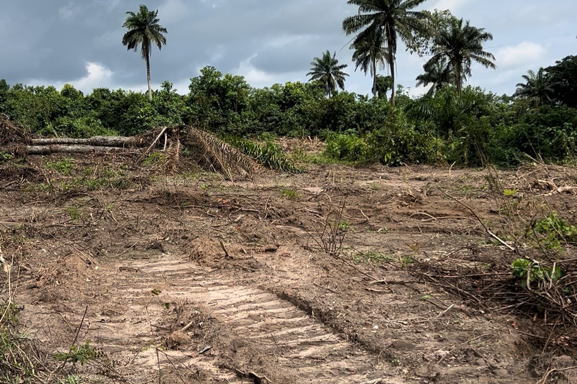 Jasmine Gardens – Benin/Auchi Road - Image 2