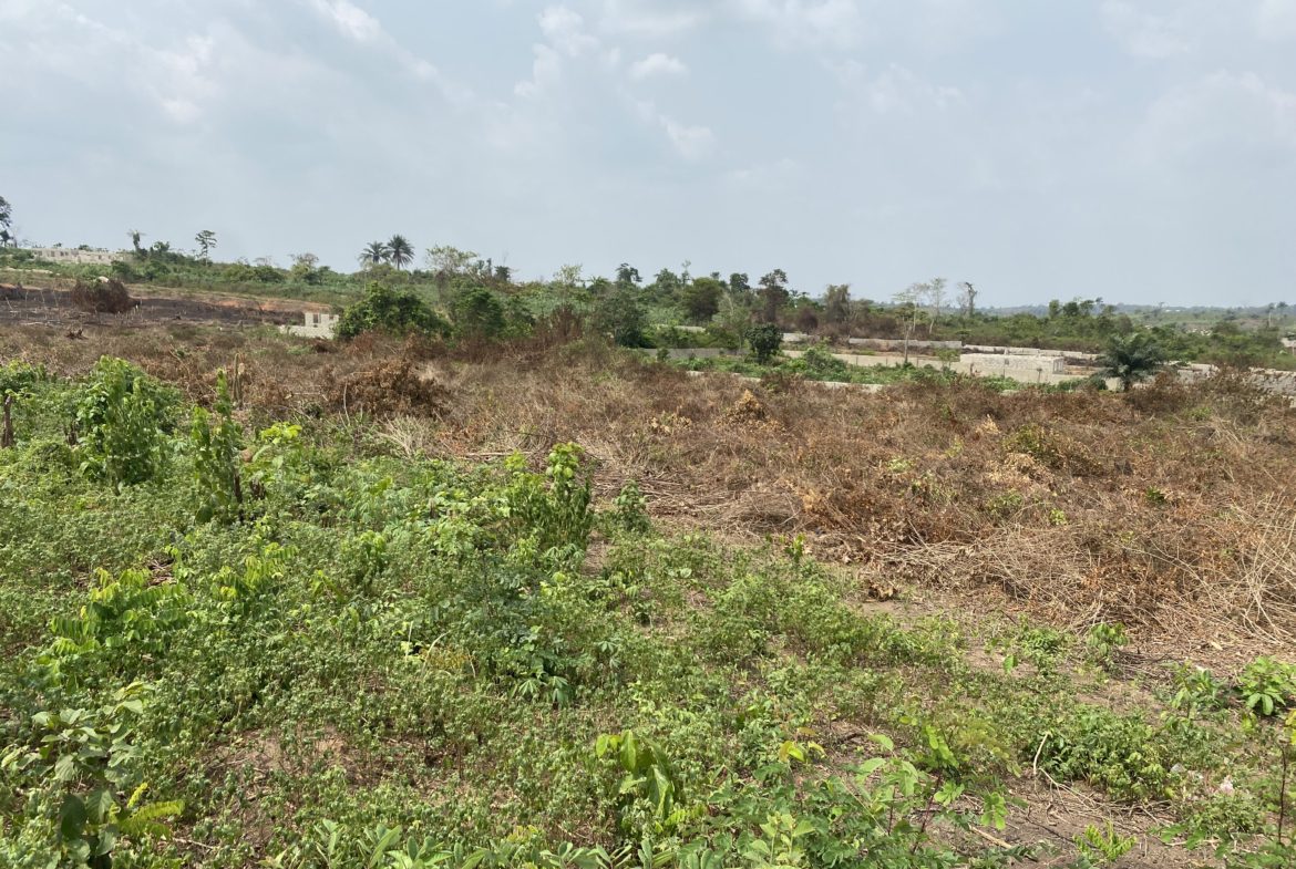 Mega Estates - Airport Road Axis - Image 1