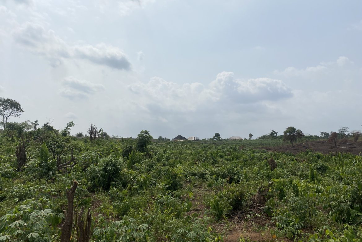 Mega Estates - Airport Road Axis - Image 2